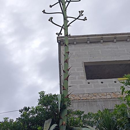 טרוגיר Apartmarin מראה חיצוני תמונה