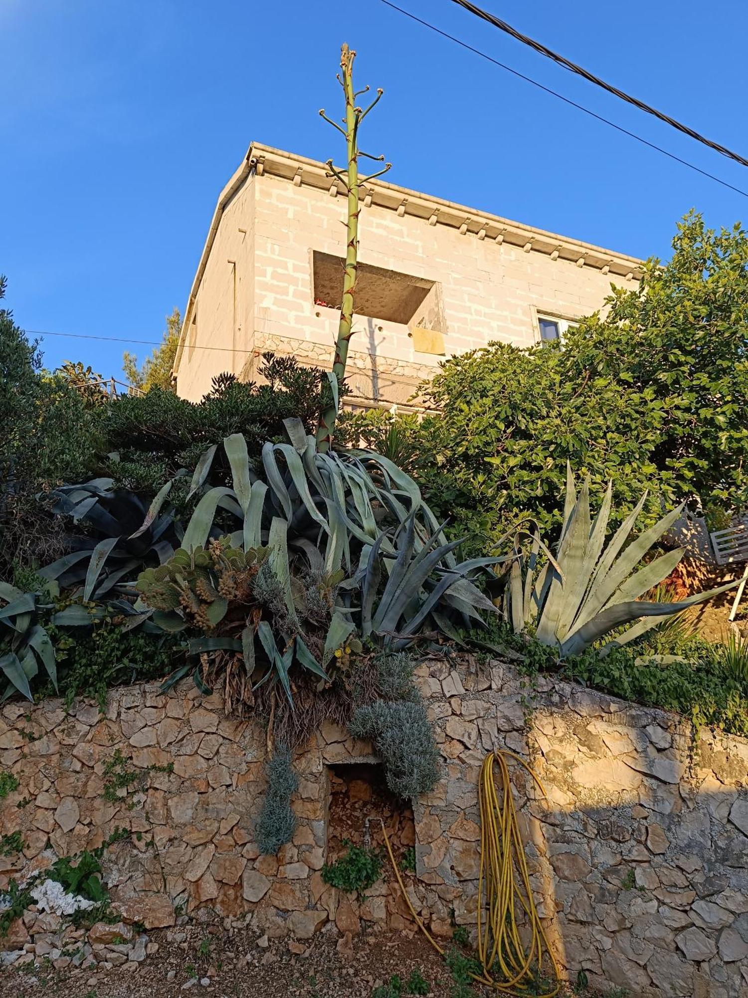 טרוגיר Apartmarin מראה חיצוני תמונה