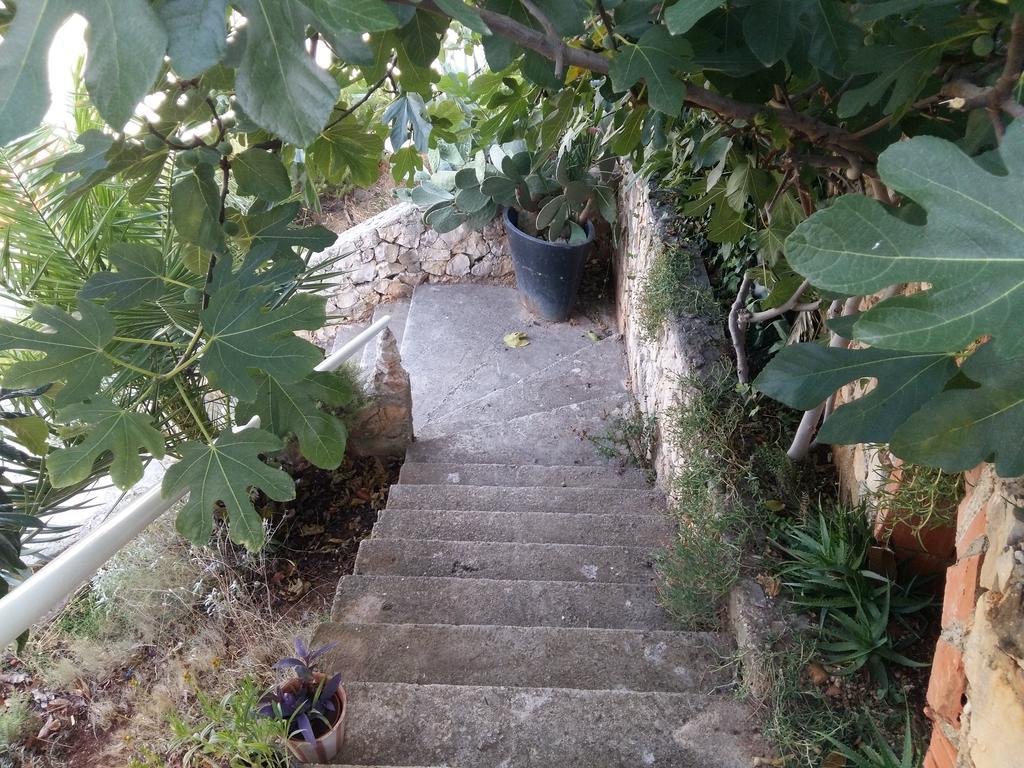 טרוגיר Apartmarin מראה חיצוני תמונה
